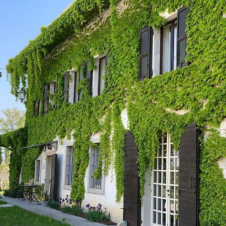 Agriturismo Tra Le Vigne Buttrio Exteriér fotografie