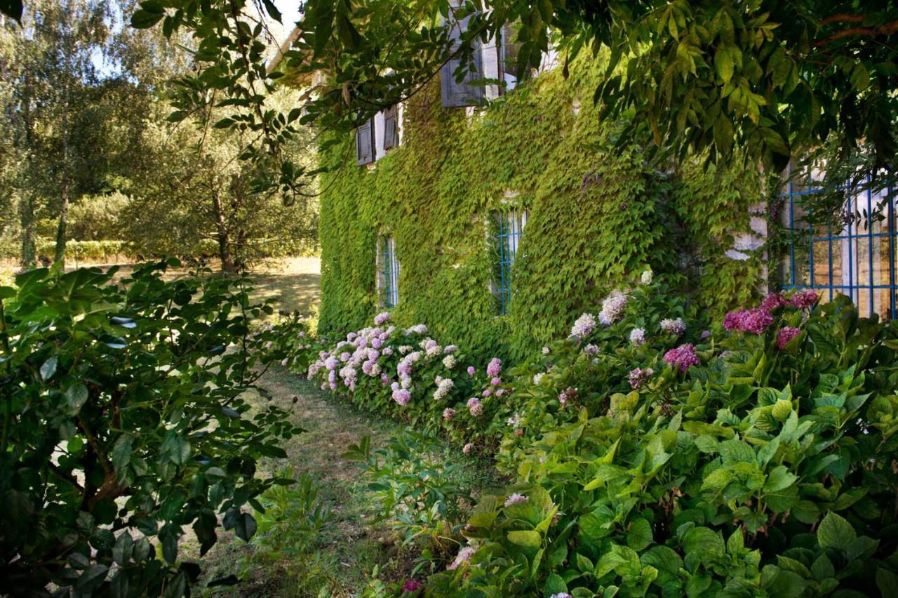 Agriturismo Tra Le Vigne Buttrio Exteriér fotografie