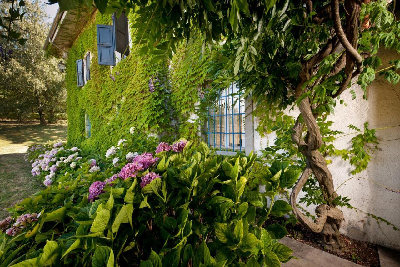 Agriturismo Tra Le Vigne Buttrio Exteriér fotografie