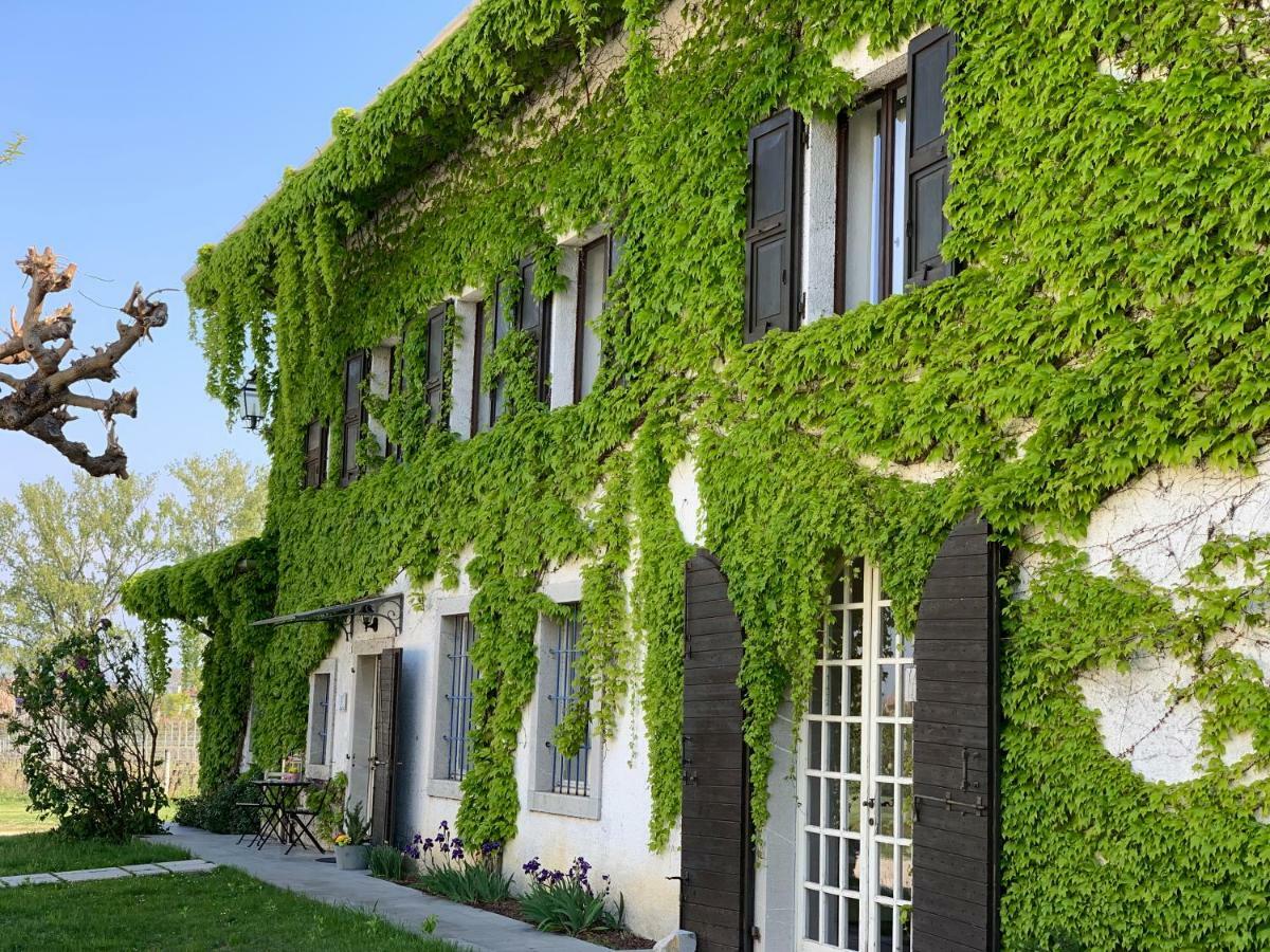 Agriturismo Tra Le Vigne Buttrio Exteriér fotografie